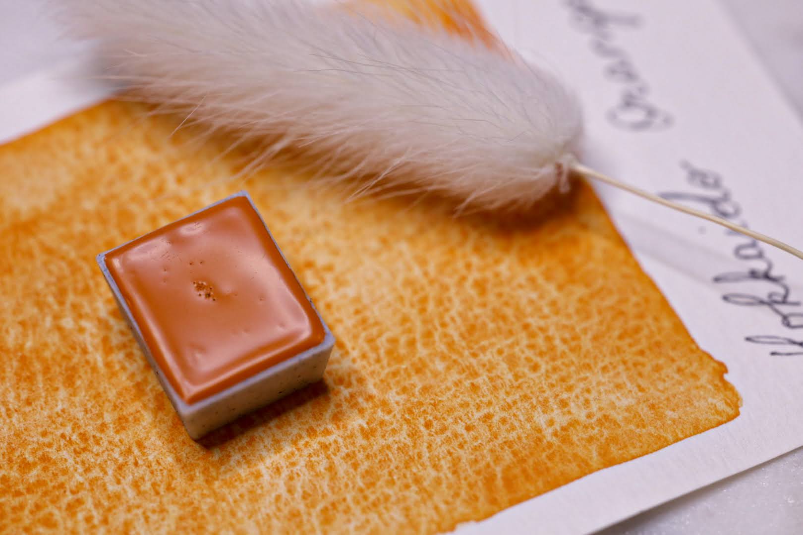 Hokkaido Orange PY216